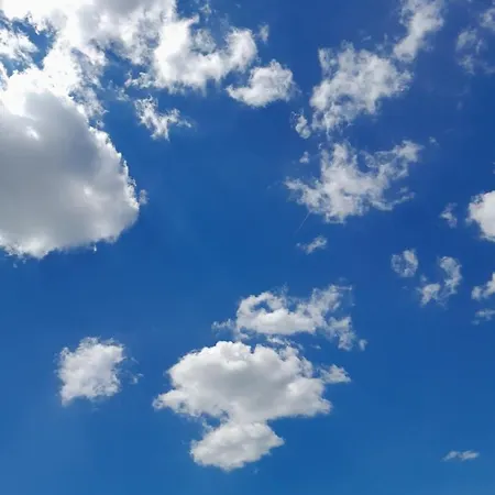 Heaven * 파진